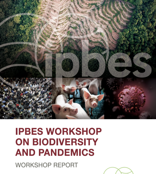 IPBES