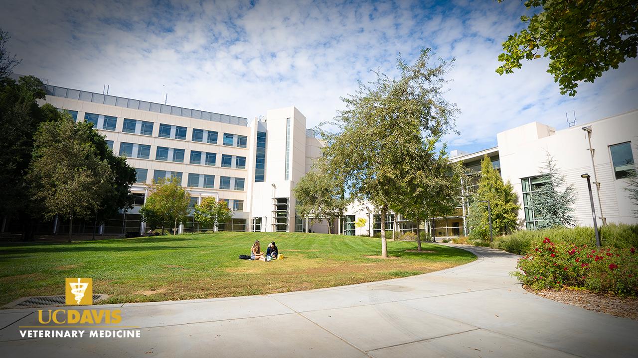 SVM Lawn