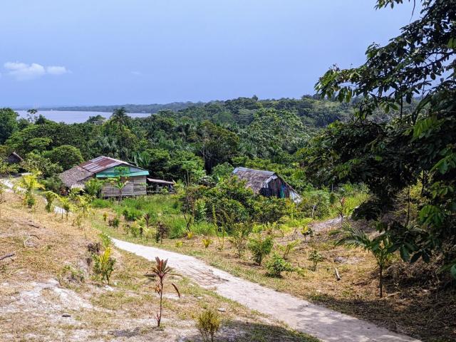 Peruvian Amazon near Iquitos