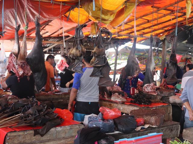 bats in meat market